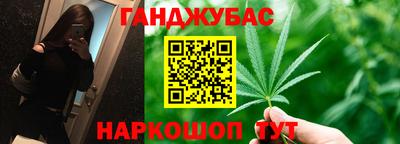 гидра Будённовск