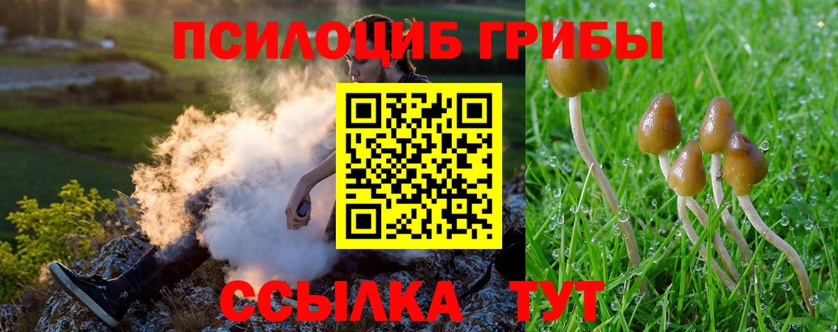 Галлюциногенные грибы Magic Shrooms  Вход с VPN  Северобайкальск 