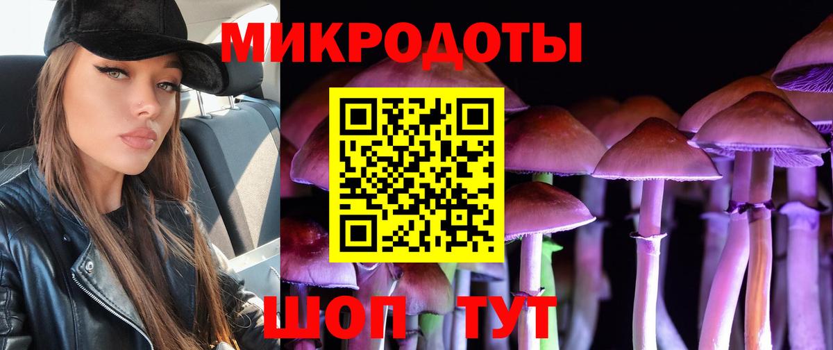 Галлюциногенные грибы Cubensis Северобайкальск